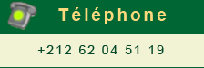 Tlphone
